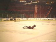 Klikk for en st�rre versjon av bildet